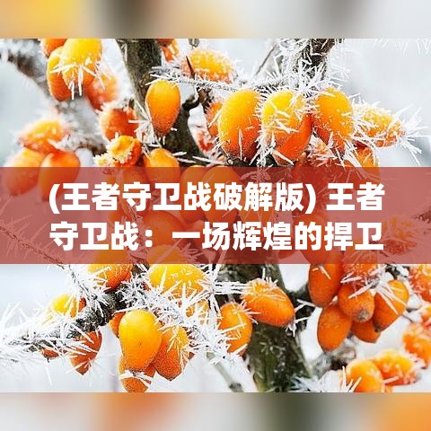 (王者守卫战破解版) 王者守卫战：一场辉煌的捍卫与荣耀，探索卫士如何守护领土，打破侵袭风暴的故事